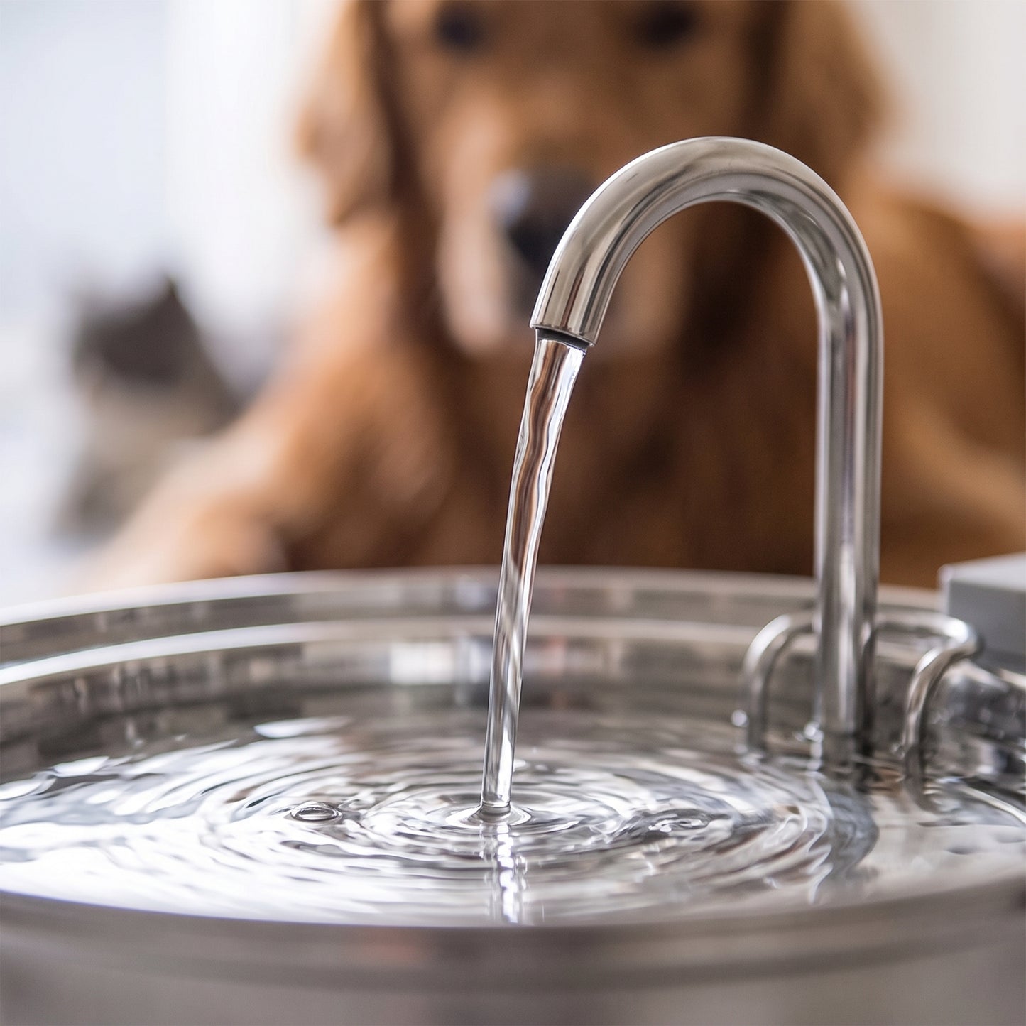 GEAROAM Stainless Steel Water Fountain - Fresh, Filtered Water for Cats & Dogs